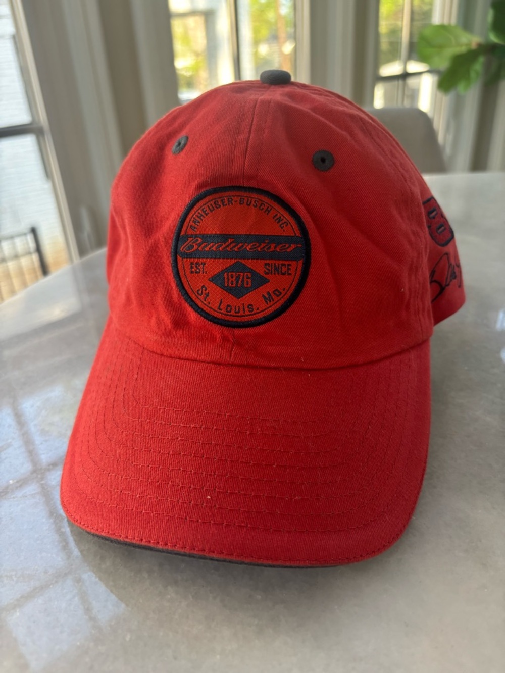 Dale Jr hat